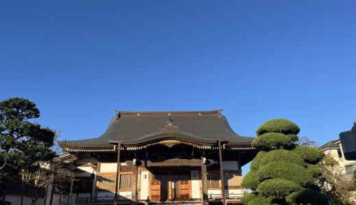 今日もよい快晴でした。