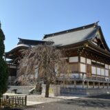 Perfumeのライブ映画をみた。