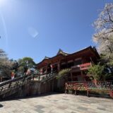 花祭りが綺麗だった。