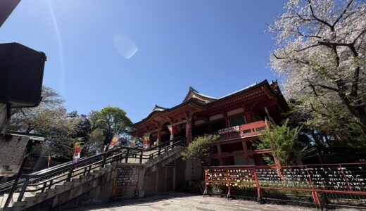 花祭りが綺麗だった。